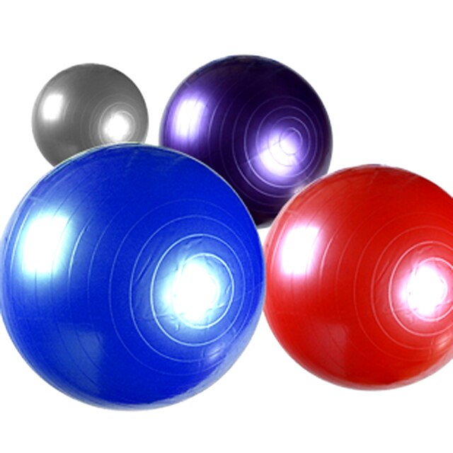  Balance Body Exercise Fitness Massage Yoga Balls with Pump