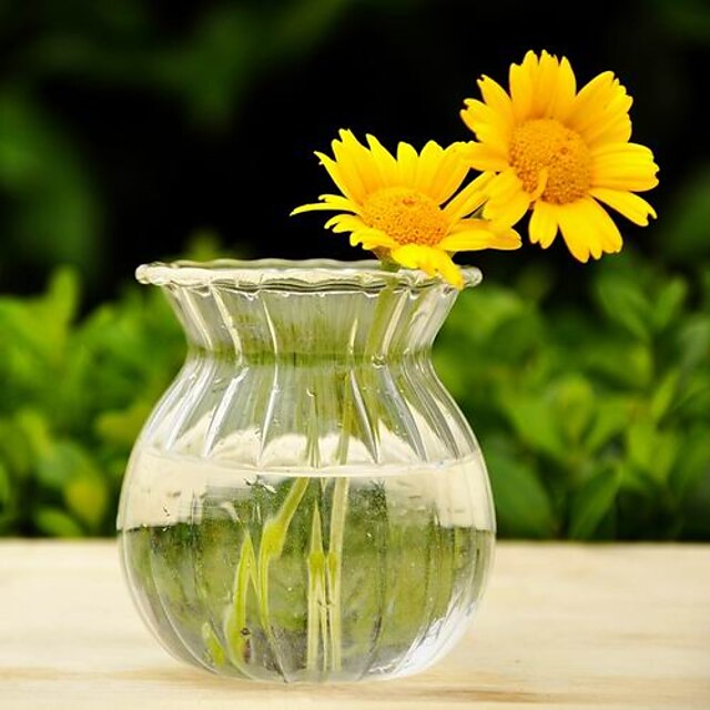  エレガントなガラスの花瓶