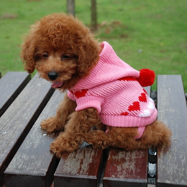  Cat Dog Sweater Hoodie Puppy Clothes Heart Winter Dog Clothes Puppy Clothes Dog Outfits Random Color Costume for Girl and Boy Dog Cotton XS S M L XL