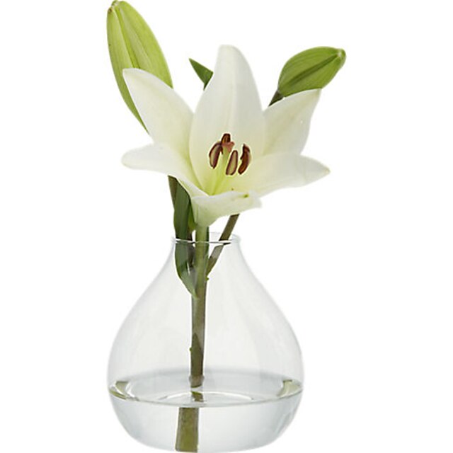  Material / Glas Tabelle Zentrum Stück - Nicht-individualisiert Vasen / Anderen / Tische Ganzjährig