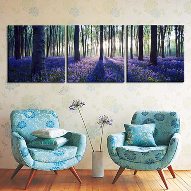  Stretched Canvas Print Art Landscape Forest Set of 3