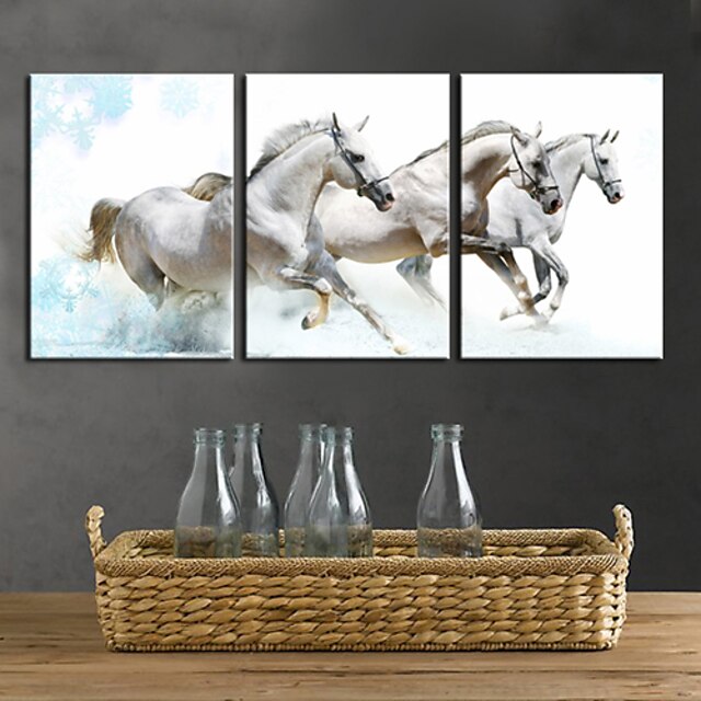  Sträckt Canvastryck Konst Animal White Horses