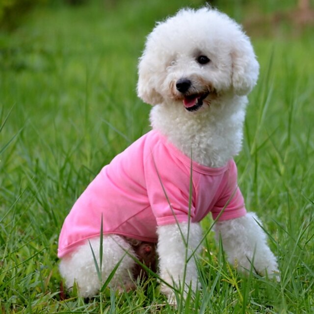  Hund T-shirt Valpkläder Enfärgad Minimalistisk Stil Hundkläder Valpkläder Hundkläder Gul Röd Blå Kostym för tikar och hundar Bomull XS S M L XL