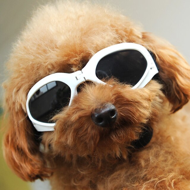 De TEMPORADAS Pet Fashion Sunglasses