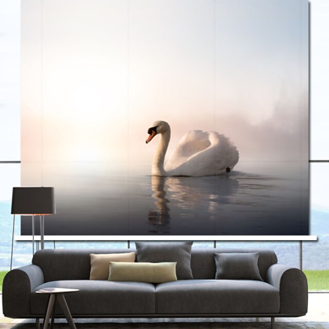  Graceful Swimming Swan Roller Shade