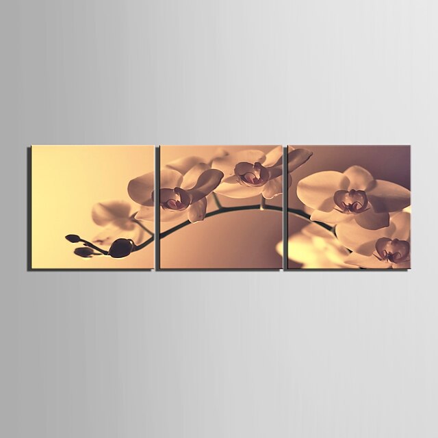  Tryck Valsade kanfastryck - Botanisk Tre paneler Konsttryck