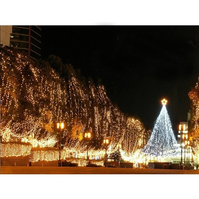  110v 100 led vánoční party dekorativní řetězec světla teplý bílý / bílý