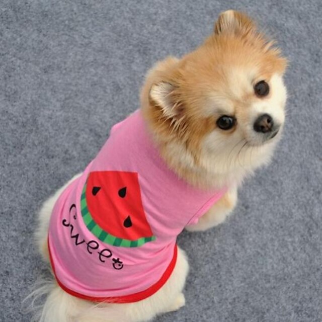  Gato Perro Camiseta Fruta Letra y Número Cosplay Ropa para Perro Azul Rosa Disfraz Algodón XS S M L