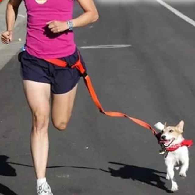  Hund Handfri Hundebånd Løper Justerbare / Uttrekkbar Løp Håndfri Løp Kamuflasje Farge Ensfarget Nylon Gul Rød Blå Rosa Oransje