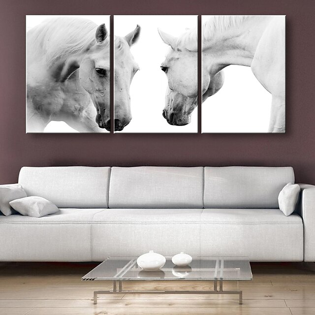  Print Rolled Canvas Prints - Animals Classic Traditional Art Prints