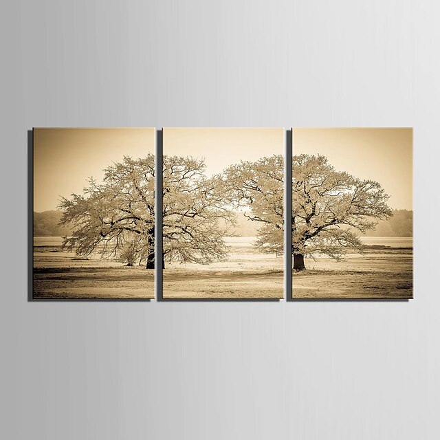  E-HOME® Stretched Canvas Art Tree Decoration Painting Set of 3