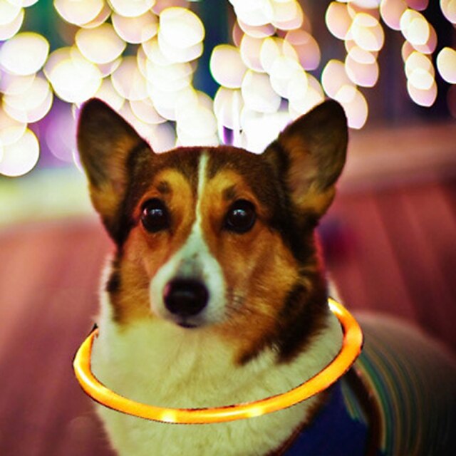  Hund Halsband LED Lampor Nylon Gul Röd
