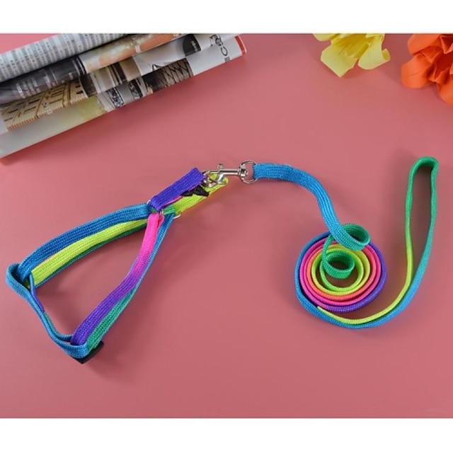  mode colorée fil de nylon et ensemble de harnais pour les chiens et animaux domestiques (couleurs assorties, taille)