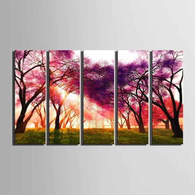  e-home® τεντωμένο καμβά τέχνης το δάσος διακοσμητικό σετ ζωγραφικής του 5