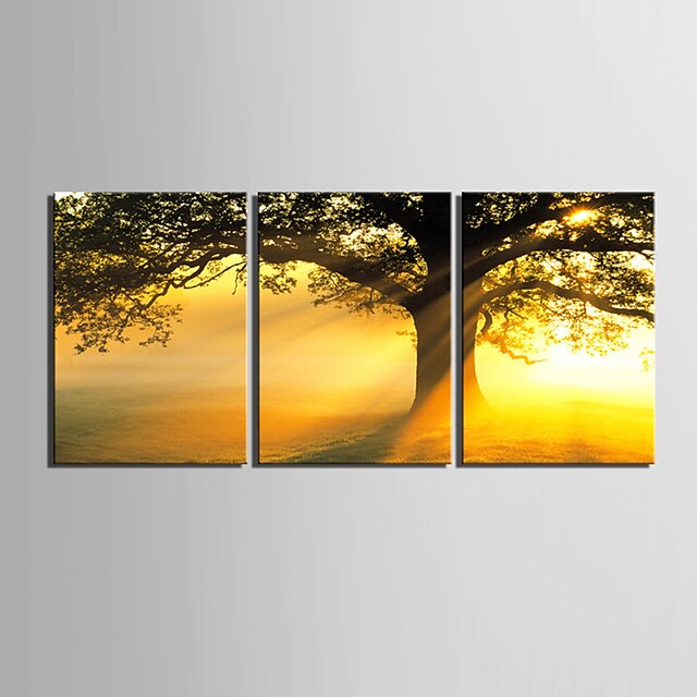  e-FOYER toile tendue art coucher de soleil sous l'arbre décoratif ensemble de trois de peinture
