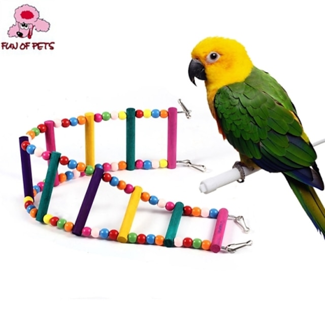  Oiseau Perchoirs & Echelles Plastique Bois Multicolore