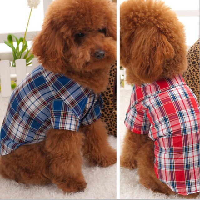  Hund Tröjor 셔츠 Pläd / Rutig Cosplay Bröllop Hundkläder Röd Blå Kostym Cotton S M L XL