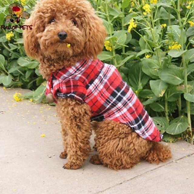  Cat Dog Shirt / T-Shirt Plaid / Check Cosplay Wedding Dog Clothes Puppy Clothes Dog Outfits Red Blue Green Costume for Girl and Boy Dog Cotton XS S M L