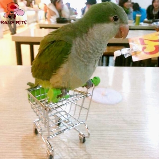  متعة pets®creative مصغرة سوبر ماركت عربة التسوق الطيور لعبة الطيور (لون عشوائي)
