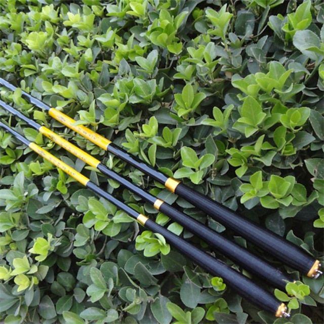 dragon carp pole