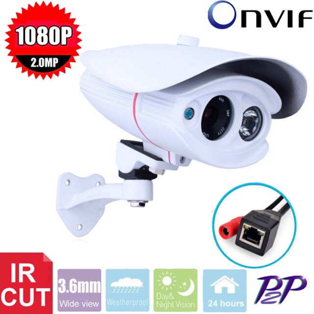  CCTV CMOS 2MP HD 1080P Waterproof 2pcs Array Leds Ir-cut  3.6mm IP Camera Surveillance Camera