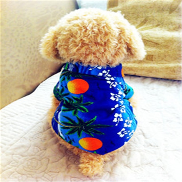 Cachorro Camiseta Floral Botânico Férias Fashion Roupas para Cães Roupas de cachorro Roupas de cachorro Respirável Azul Ocasiões Especiais para menina e menino cachorro Algodão XS S M L XL