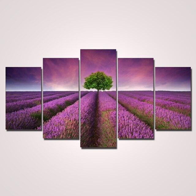  Stretched Canvas Print Modern Five Panels Horizontal Wall Decor Home Decoration