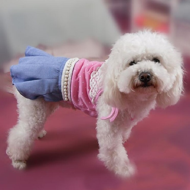  Cane Vestiti Vestiti del cucciolo Monocolore Casual Abbigliamento per cani Vestiti del cucciolo Abiti per cani Giallo Rosa Costume per ragazza e ragazzo cane Terylene XS S M L XL