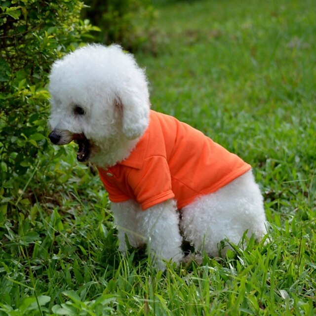  Hond T-shirt Effen Casual / Dagelijks Hondenkleding Puppy kleding Hondenoutfits Geel Rood Blauw Kostuum Baby Kleine hond voor Girl and Boy Dog Katoen XS S M L XL