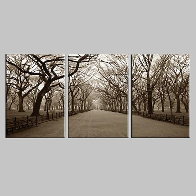  Reproducción en lienzo de arte del paisaje El Central Park Juego de 3