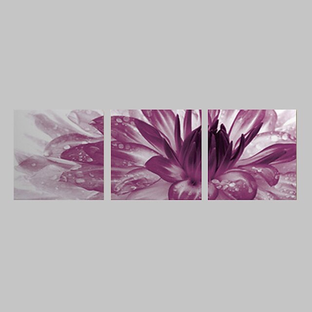  Reprodukcja Art Kwiatowe Purpurowy Zestaw 3 Burst