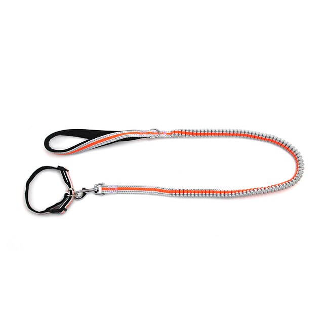  Hund Halsbänder Leinen Reflektierend Regolabile / Einziehbar Weich fluoreszierend Laufen Sicherheit Solide Nylon Orange Grün