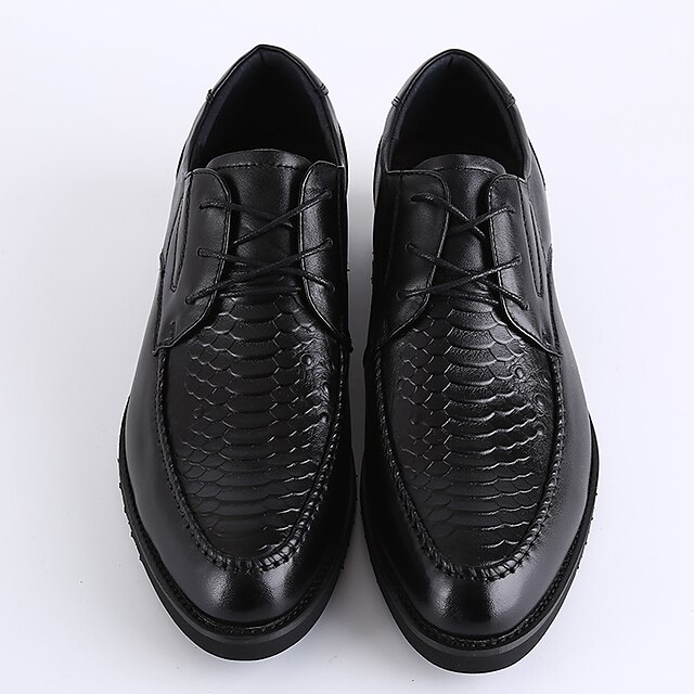  Для мужчин обувь Кожа Весна Лето Туфли Мери-Джейн Туфли на шнуровке Для прогулок Назначение Повседневные Черный