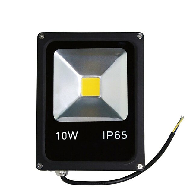  10W Warm/Cool White Color Led Floodlight Spotlight Outdoor Lighting(AC85-265V)