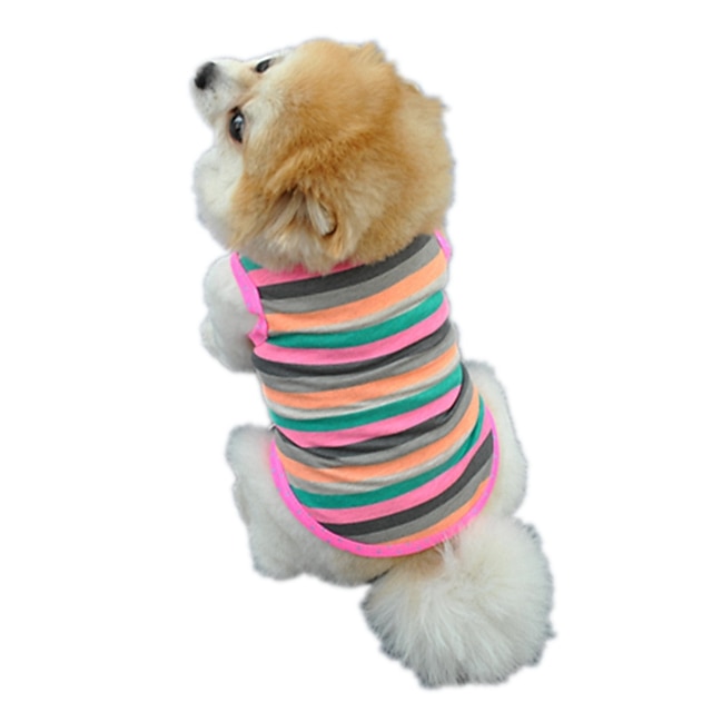  Kat Hund T-shirt Vest Stribe Fødselsdag Ferie Afslappet / Hverdag Vinter Hundetøj Regnbue Kostume Bomuld XS S M L
