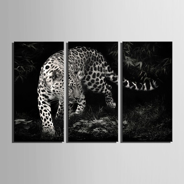  E-HOME® Stretched Canvas Art Leopard Decoration Painting Set of 3