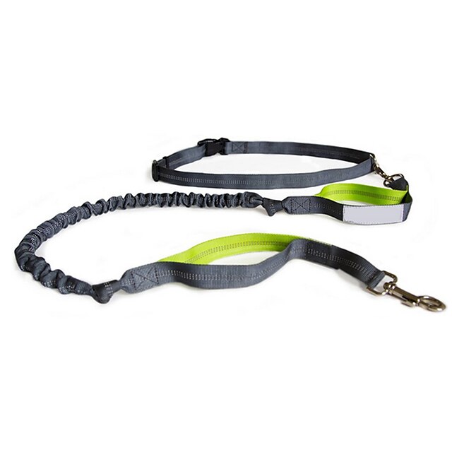  Nylon Reflective Dog Leash And Belt