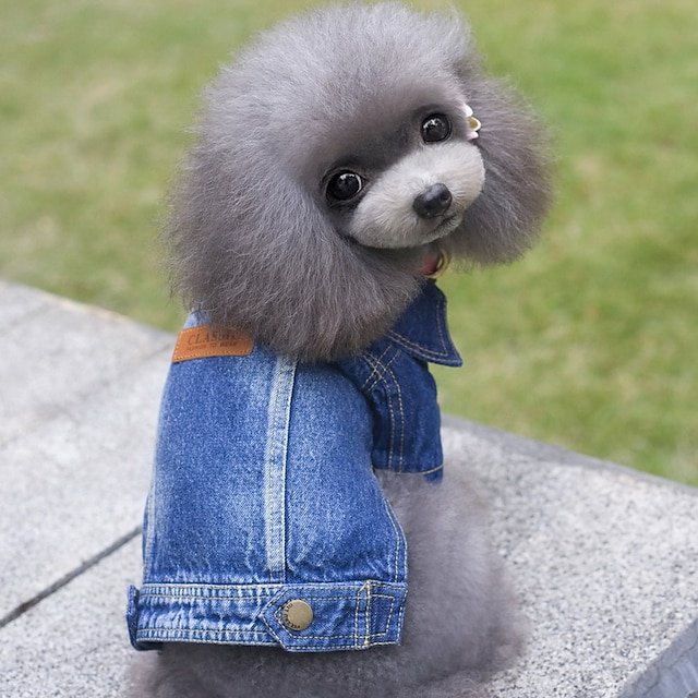  Dog Coat Denim Jacket / Jeans Jacket Puppy Clothes Jeans Cowboy Fashion Outdoor Winter Dog Clothes Puppy Clothes Dog Outfits Blue Costume for Girl and Boy Dog Denim S M L XL XXL