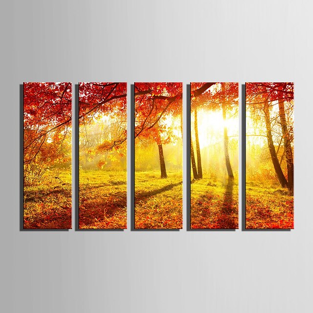  E-HOME® Stretched Canvas Art The Sunset Red Maple Forest Decorative Painting Set of 5