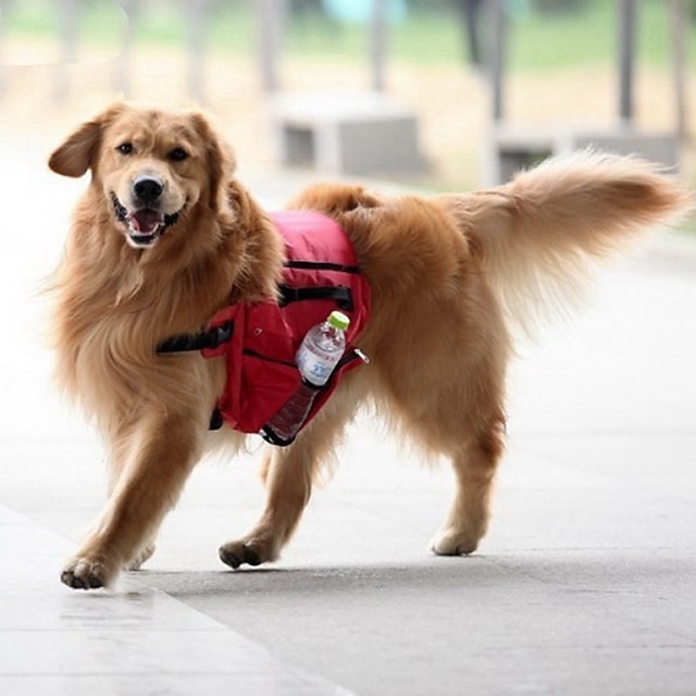  כלב תיקי נשיאה ותרמילי גב לנסיעות חבילת הכלב תיק גב לכלב תיק אוכף לכלבים עמיד למים נייד טֶקסטִיל אדום כחול ירוק