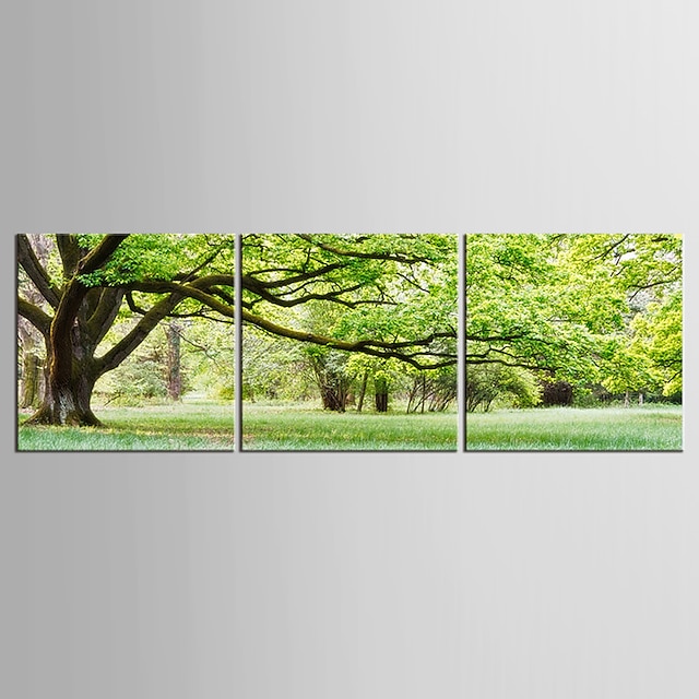  キャンバスセット 風景 花柄/植物の Modern 田園,３枚 キャンバス 縦長 版画 壁の装飾 For ホームデコレーション