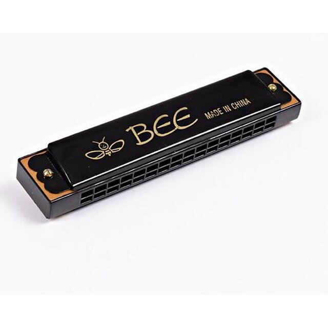  professional-student-playing-gift-introduction-harmonica