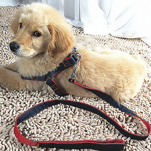  Cat Dog Harness Leash Breathable Adjustable / Retractable Training Running Safety Solid Colored Fabric Black Red