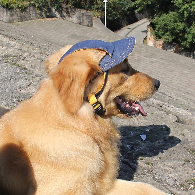  犬 バンダナ＆帽子 ジーンズ スポーツ 犬用ウェア 子犬の服 犬の衣装 ブルー コスチューム 女の子と男の子の犬のために デニム S L