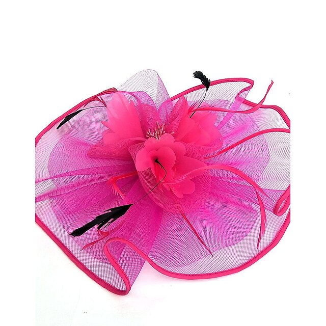 Tulle / Feather / Net Kentucky Derby Hat / Fascinators / Hats with 1 ...