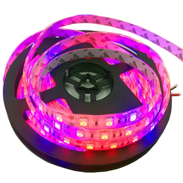  5m 300 LEDs 5050 SMD 1pc Red / Blue Waterproof / Cuttable / Linkable 12 V / IP65 / Self-adhesive