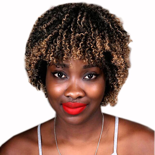  Synthetische Perücken Locken Afro Stil Perücke Kurz Braun Synthetische Haare Damen Gefärbte Haarspitzen (Ombré Hair) Afro-amerikanische Perücke Braun Perücke