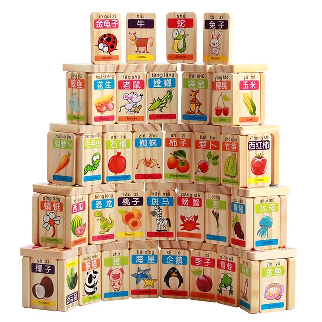  Blocs de Construction Fruit compatible Bois Naturel Legoing Animaux Unisexe Garçon Fille Jouet Cadeau / Enfant