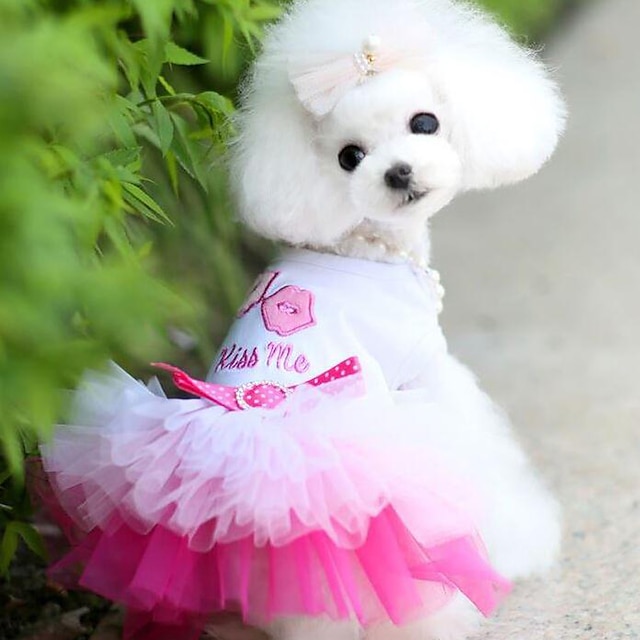  Dog Dress Puppy Clothes Princess Casual / Daily Dog Clothes Puppy Clothes Dog Outfits Blue Pink Costume for Girl and Boy Dog Chiffon Cotton