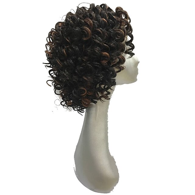  Synthetic Lace Front Wig Curly Synthetic Hair African American Wig Brown Wig Women's Short Natural Wigs Lace Front